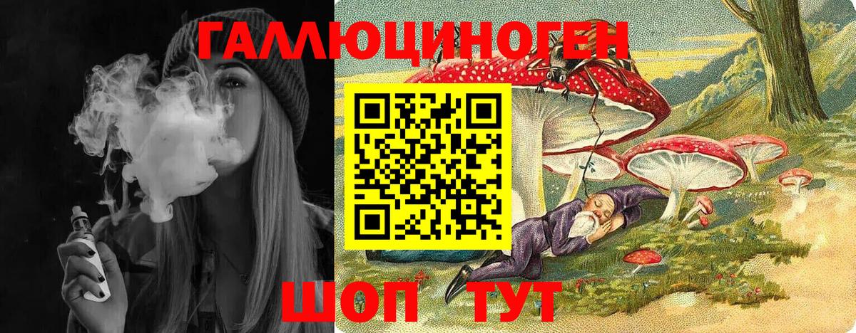 Псилоцибиновые грибы Psilocybe Краснокаменск